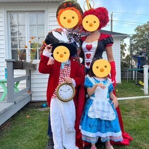 Alice in Wonderland rabbit costume medium boys
